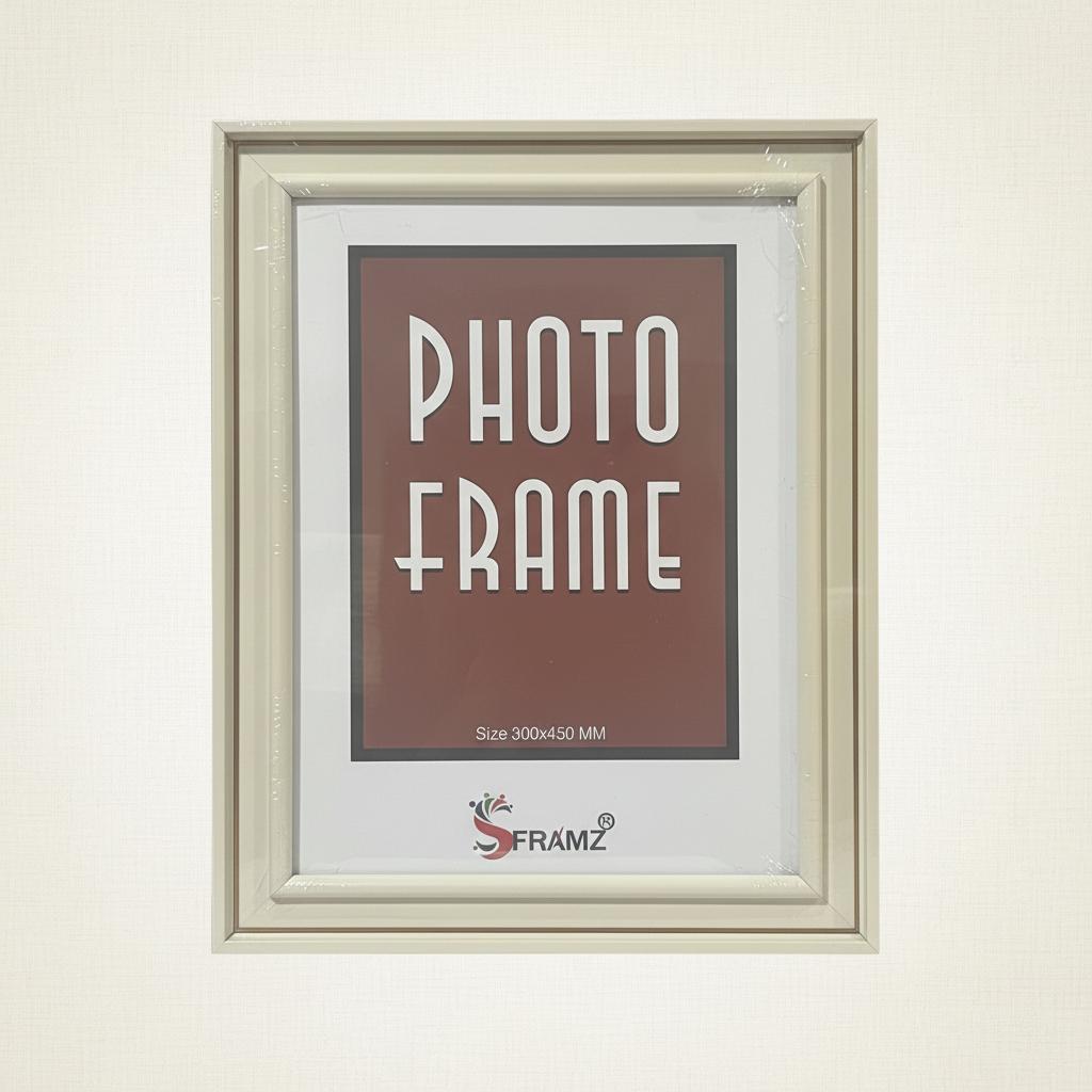 SATGURU FRAME